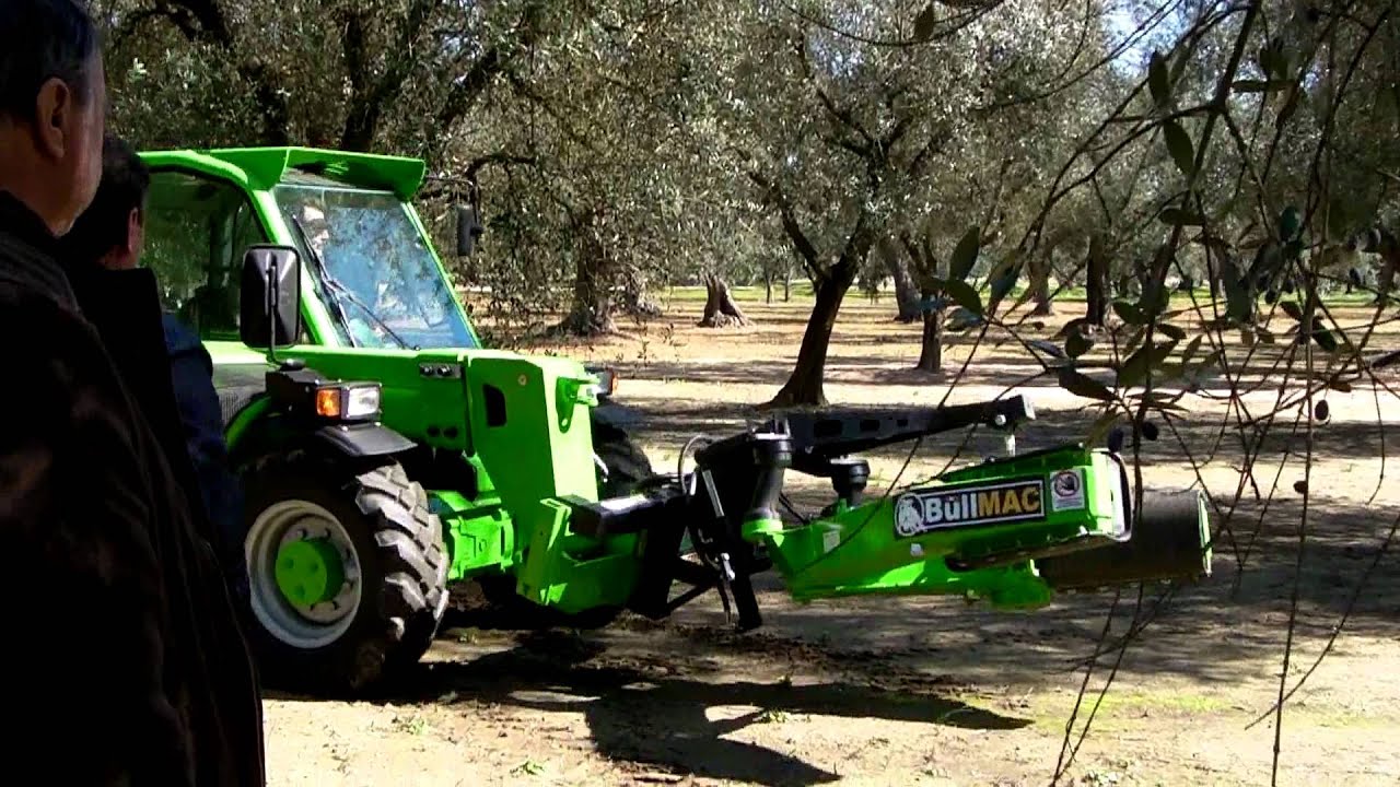 Rullo Raccolta Olive CM 70 - Strumento Per Raccolta Olive Da Terra, Con Chiodi, Per Terreni Accidentati