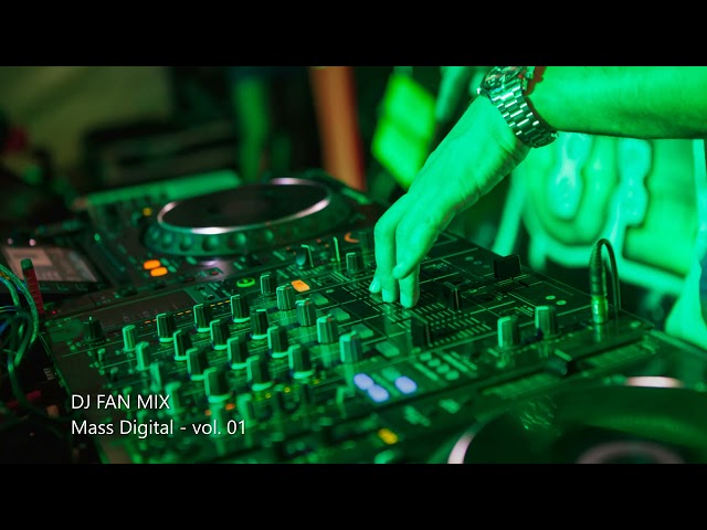 DJ FAN MIX - Mass Digital - vol. 01 class=