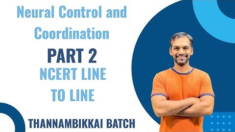 Neural Control and Coordination | Part 2 | NCERT line to line | Thannambikkai Batch