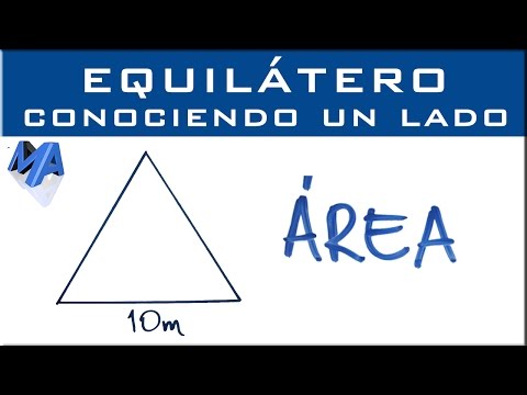 Video: Equilatero significa equiangolo?