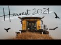 A Saskatchewan Harvest Experience (2021)