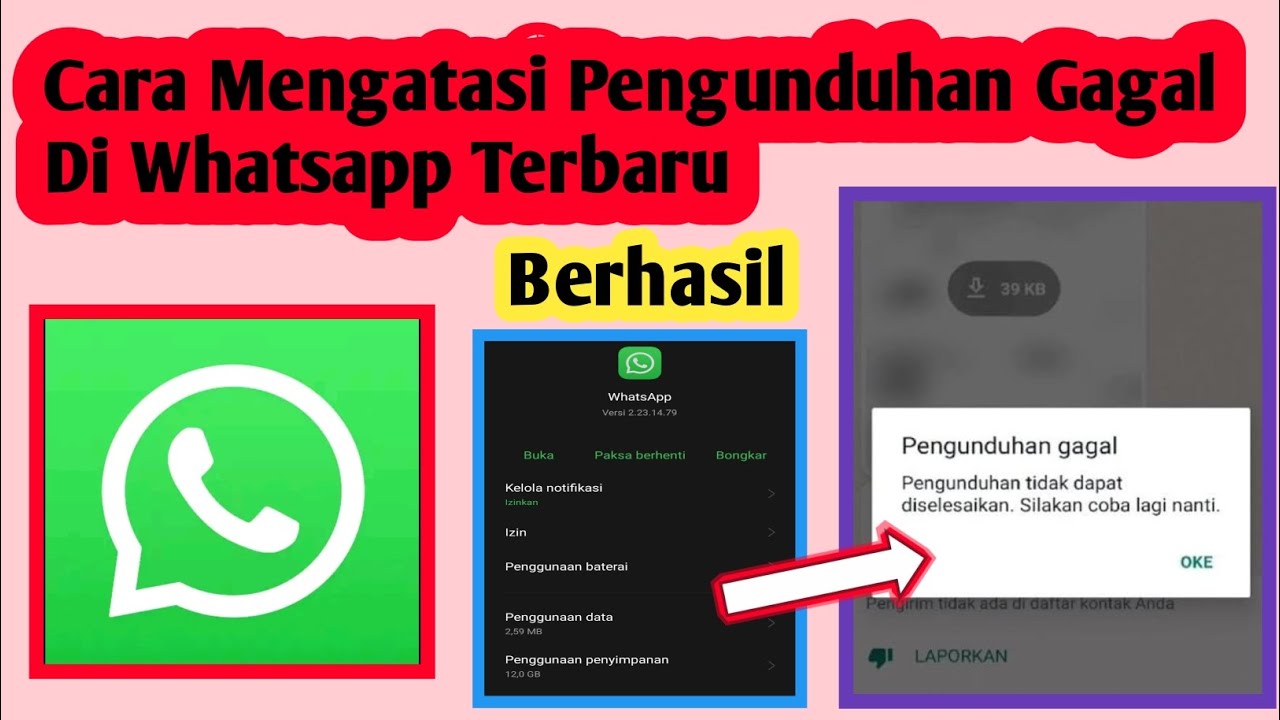Cara Mengatasi Pengunduhan Gagal Di Whatsapp Cara Atasi Gagal