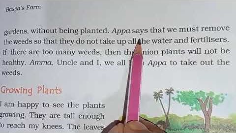 4th Class EVS Ch 14 Full - by Abhilasha mam