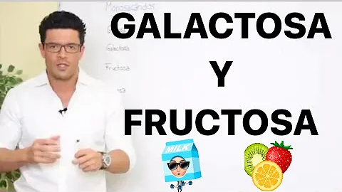 ¿Cuál es la enzima que actúa sobre la glucosa?