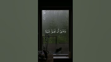 وعسى أن تكرهوا شيئاً وهو خير لكم | سورة البقرة🖤