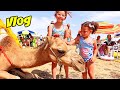 Vlog  24h avec nous  assilah en famille  plage  chameauect