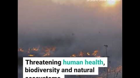 The Global Assessment Report Special Report on Drought