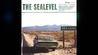 The Sealevel  - Drank the Summer