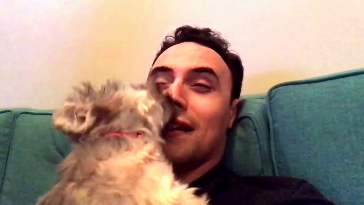 Henry The Pup Licks The Inside Of My Nose Youtube