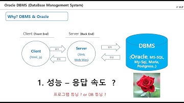 #1 Why DBMS & Why Oracle and Oracle 설치, Sql Developer 설치