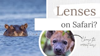 What are the Best Lenses for an African Safari?