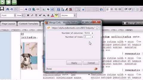 Creating tables in RVSiteBuilder