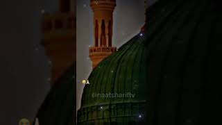 Makkah Madina status madinasharif madina viral viralshort 2023 shortsviral