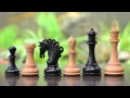 Staunton wooden pegasus luxury chess set  chessbazaar