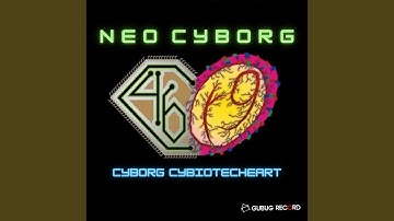 Program Is Terminated