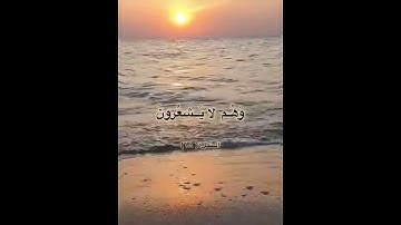 سورة النمل القارئ : ريان المحيسني .