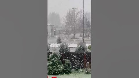 Nevó en Saint Helens🌧