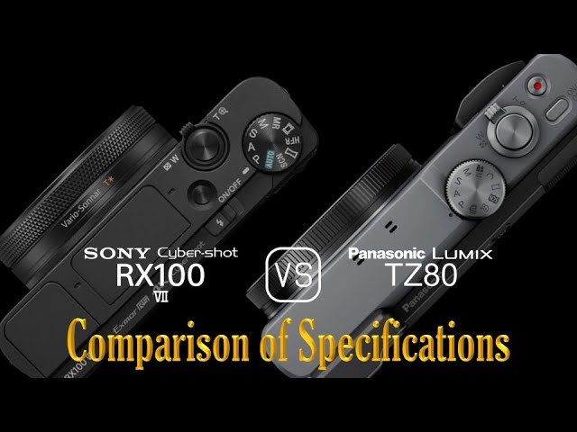 Sony Cyber-shot RX100 VII vs. Panasonic Lumix TZ80: A Comparison