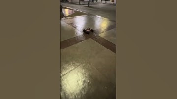 Drifting on wet surface with the Traxxas rustler 4x4 vxl!