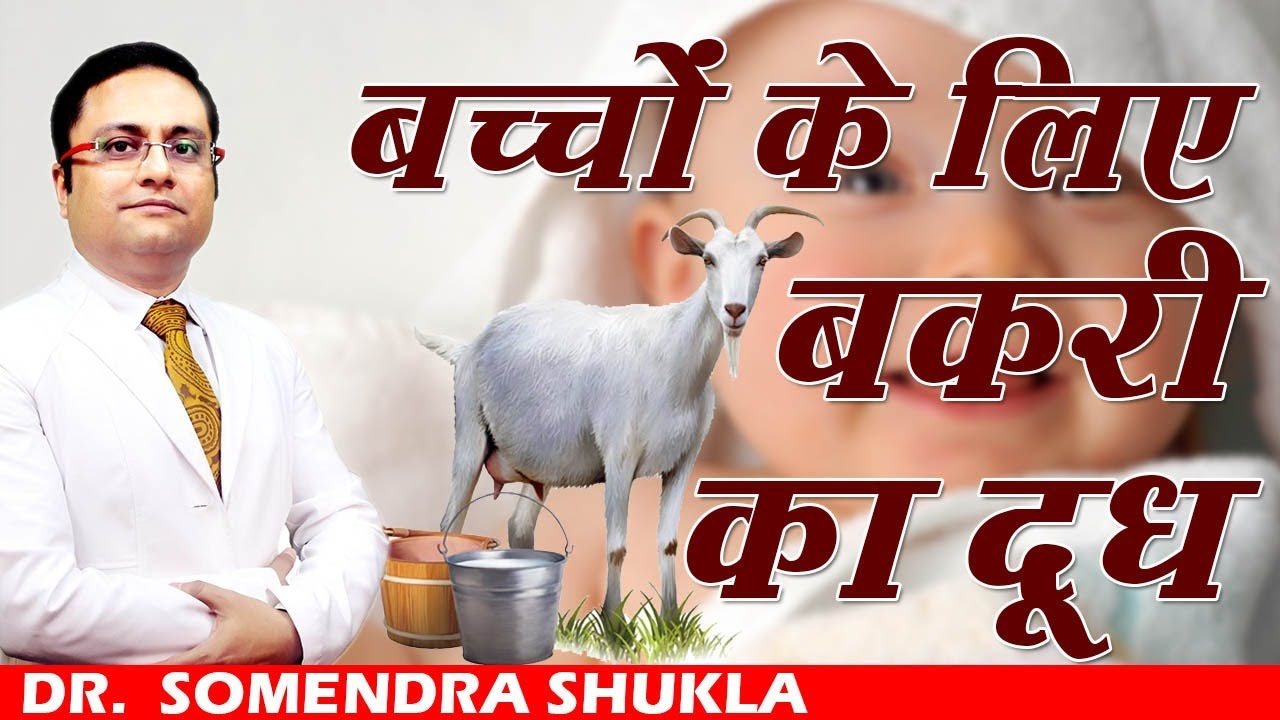 बच्चों के लिए बकरी का दूध ? || Is Goats Milk Closest to Breastmilk? || Dr. Somendra Shukla