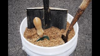 This Tool Hack Is Genius