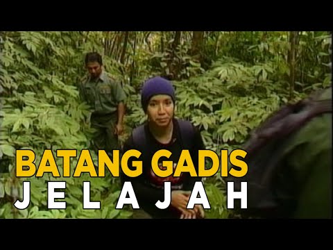 Video: Anda Dapat Menjelajahi Setiap Taman Nasional AS Dengan Aplikasi Satu Ini