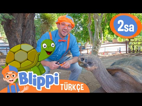Blippi Hayvanat Bahçesinde 🐵🦁 | Blippi Türkçe - Çocuklar için Eğitici Videolar