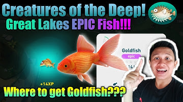 Goldfish Creatures of the Deep Location❗ Cara Memancing Goldfish Epic di Great Lakes❗ Fishsing Spot
