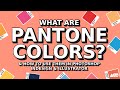 What Are Pantone Colors? & How to Use Them in Adobe Products