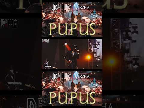 Pupus - Dewa19
