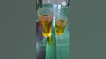 cây đinh lăng có nhiều công dụng  lợi ít quý giá .bài thuốc dân gian .