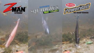 Mencuba Aksi 3 Jenis SOFT PLASTIC 2 | #Zman StreakZ, Berkley Powerbait The Champ, Shimano Squidgies screenshot 3