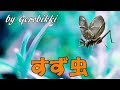 「すず虫」/松尾雄史 Japanese Taishogoto 大正琴  /Gerobikki