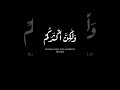 ونادوا يامالك ليقضى علينا ربك سورة الزخرف صلاح الباجي  كرومات شاشه سوداء 