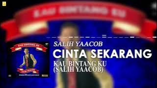 Salih Yaacob - Cinta Sekarang ( Stream Video)