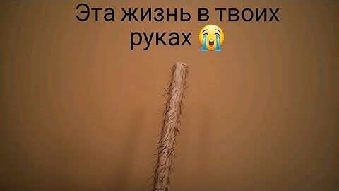 CS 1.6 Valve Hammer Editor TVG Final ver 62