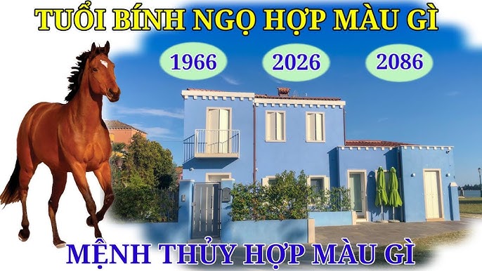 Màu Hợp Tuổi Bính Ngọ - Tìm Hiểu Ý Nghĩa Và Cách Lựa Chọn Màu Sắc Phù Hợp