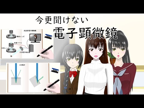 "今更聞けない!電子顕微鏡の仕組み"《走査型(SEM)・透過型(TEM)を光学顕微鏡と比較しながら解説》