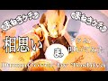 【まねきケチャ】相思い 叩いてみた【ドラム】