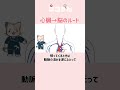 頸動脈ってどこ？　頭への血管を覚える！