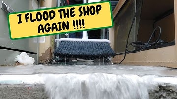 I Flood The Shop Again!!!! New Shop Gifts , New Stickers, Tank Makeovers (Snake Island Exotics)