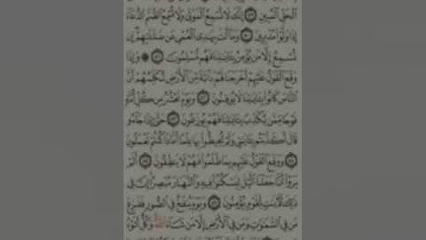 سورة النمل و سورة القصص صلاة التراويح من مسجد عبيدة بن الجراح  قسنطينة ( علي منجلي )