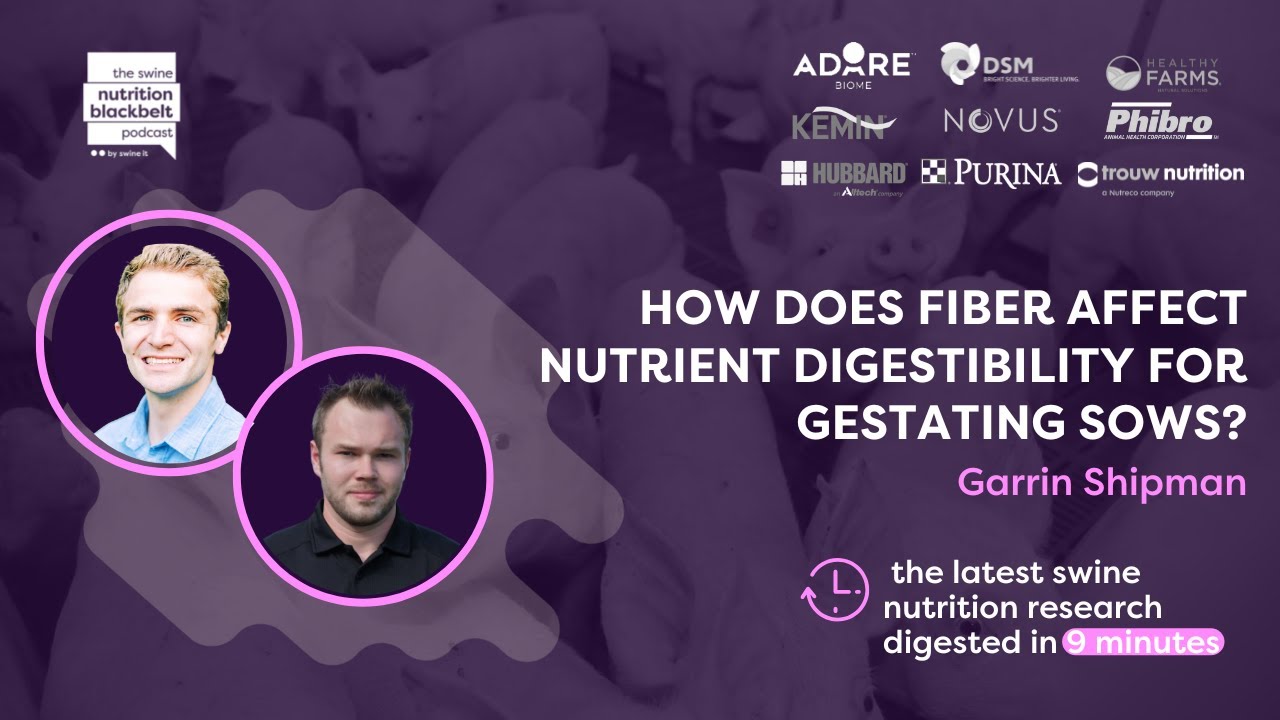 Garrin Lee Shipman Fiber in Gestating Sows Ep. 39 YouTube