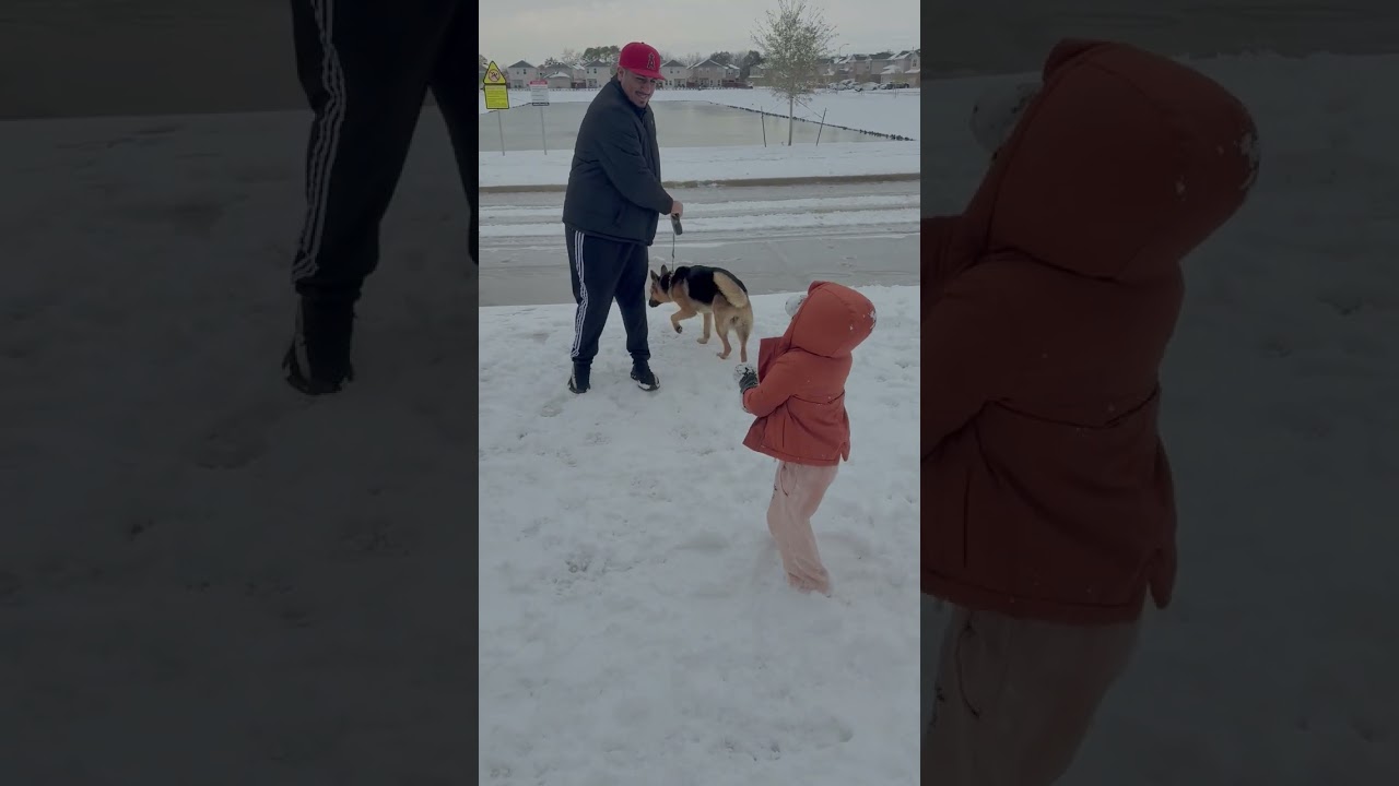 Girl attempts to throw snowball at Dad then dog on leash jumps on her causing her to fall in snow