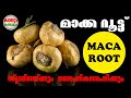 Maca root malayalam  review  uses  mallumix media  kadhayum porulum