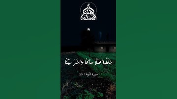 وآخرون اعترفوا بذنوبهم | سورة التوبة [20] #quran #اكسبلور #خشوع  #قرآن