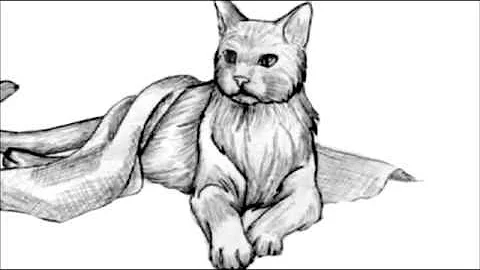Pet Memorial - Owner, Dearest Friend (No Bloopers)
