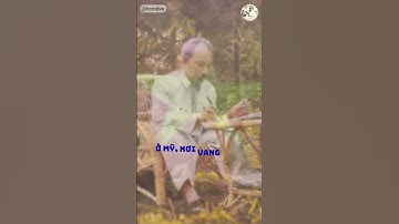 PHÍA SAU BỨC TƯỢNG NỮ THẦN TỰ DO #bacho #virral #tintuc #xuhướng