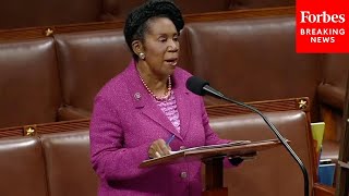 'There Has Been A Rise In Extremism': Sheila Jackson Lee Discusses Domestic Terrorism