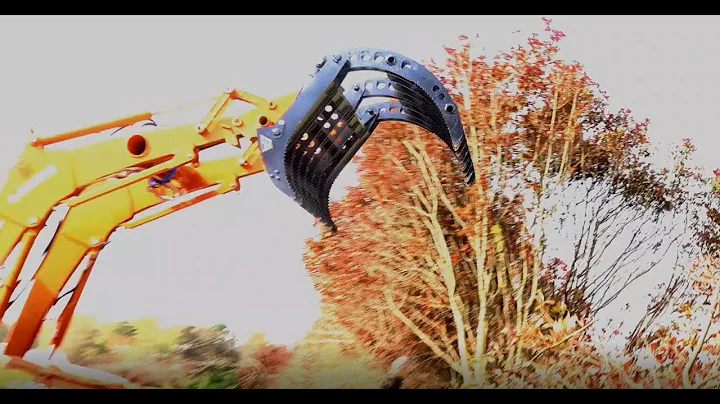 Wicked Grapple Rake Advantage -Shorts-